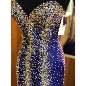 Pageant Dress/ Prom Dress/ Homecoming Dress